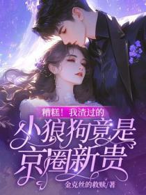 糟糕!我渣过的小狼狗竟是京圈新贵