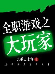 全职游戏之大玩家